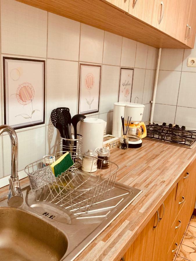 Ultracentral Apartment With All You Need: Wifi, Tv, Ac, Washer, Coffe Timişoara Exterior foto