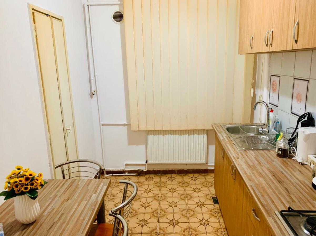 Ultracentral Apartment With All You Need: Wifi, Tv, Ac, Washer, Coffe Timişoara Exterior foto